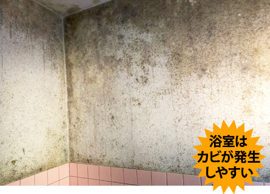 吹田市でユニットバスではないお風呂を塗装できるかお悩みの方へ手順をご紹介します！