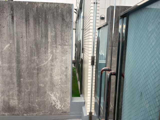 通路脇の塀の黒ずみ