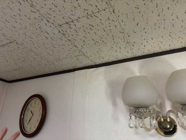 寝屋川市でベランダ雨漏り修理の現地調査、室内の壁染みとベランダ床の状態を確認
