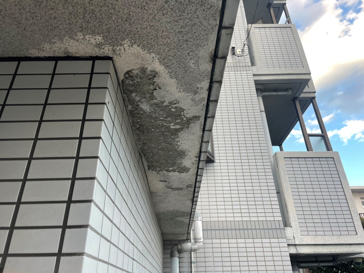 東大阪市５階建てマンション現場調査～陸屋根・共用部分